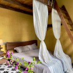 Phòng Jasmine - Hoa Nhài