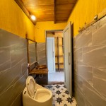 Phòng Camelia - Hoa Trà