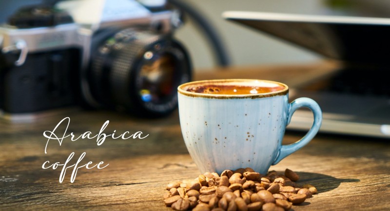 Câu chuyện về Arabica