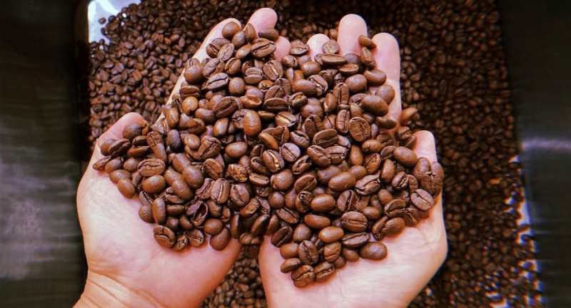 Cá tính và chất lượng của Robusta